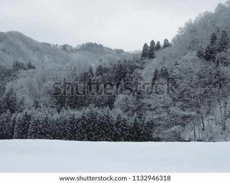 winter landscape akita japan