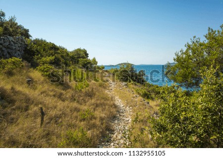 Beautiful nature and landscape photo of sunny summer day at Adriatic Sea in Dalmatia, Croatia, Europe. Nice outdoors at Mediterranean coast. Calm, peaceful and happy picture.