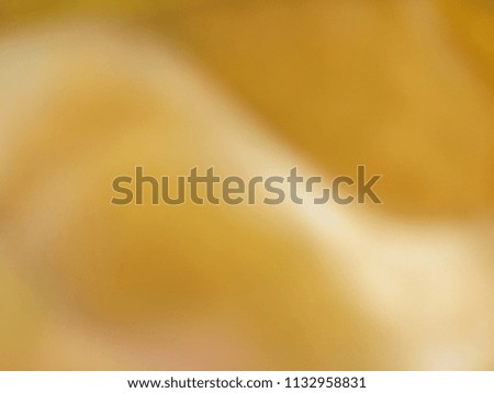 Abstract background texture of a yellow autumn leaf. Autumn season. Fall harvest. Abstract background of Yellow and white color. 