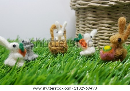 The family of little bunny