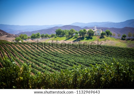 Wine Yard view in Temecula, California Royalty-Free Stock Photo #1132969643