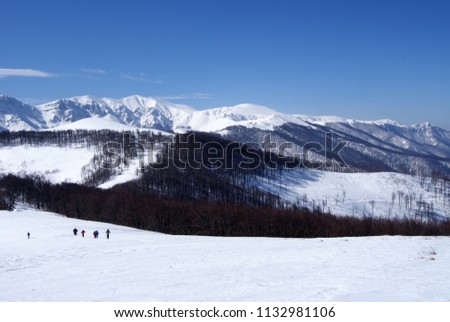 Skiers for a walk in the mountains, Stara planina