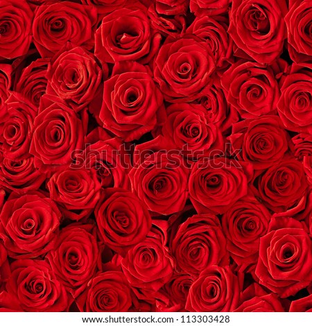 Plenty red natural roses seamless background Royalty-Free Stock Photo #113303428