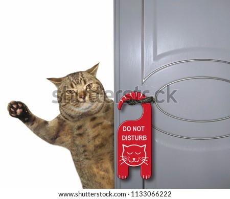 The cat closes the door.  A sign " do not disturb " is hung on the doorknob. White background.
