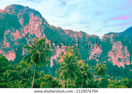 Beautiful coconut palm trees and mountain, Krabi Thailand - Tropical summer holiday concept, color fun tone