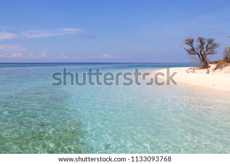 Apo Reef Natural Park, Sablayan, Occidental Mindoro Royalty-Free Stock Photo #1133093768