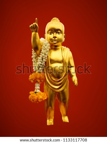 The important baby Buddha gold statue, red  background