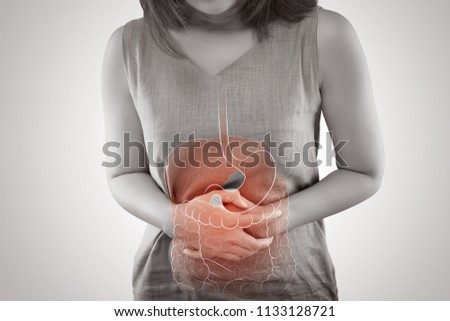 The photo of internal organs is on the women's body against gray background, Viscera on Human Royalty-Free Stock Photo #1133128721