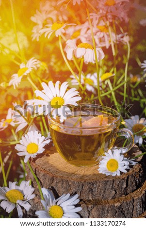 A cup of fragrant chamomile tea, in the rays of the evening beautiful sunset.