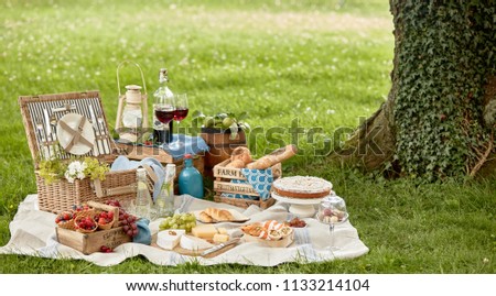 Blanket with picnic food set on green grass under tree in park