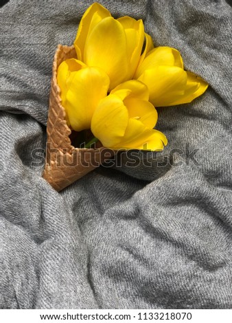 shabby yellow tulips on grey textile background