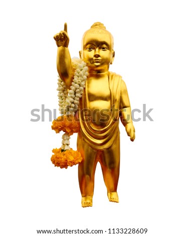 The important baby Buddha gold statue, white  background