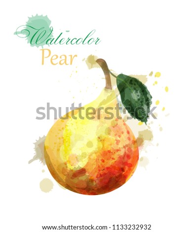 Pear watercolor isolated Vector. Juicy colorful fruits illustrations