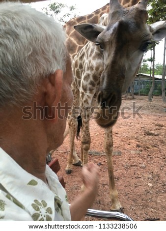 Old man in the zoo with 
giraffe
