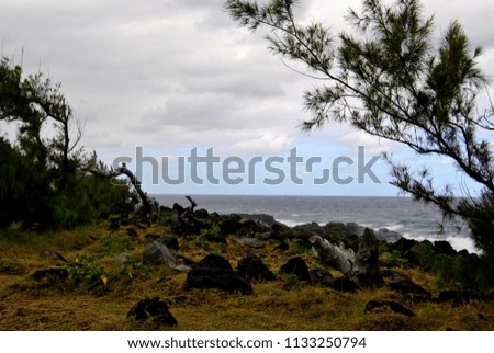 Reunion island landscape. Seascape. Black volcanic sand. Black rocks.