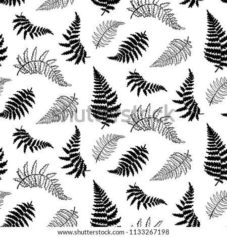 Vector botanical illustration of fern leaf. Isolated outline modern drawing of tropical plant. Set of exotic fern leaves silhouettes. Vector seamless floral black and white pattern