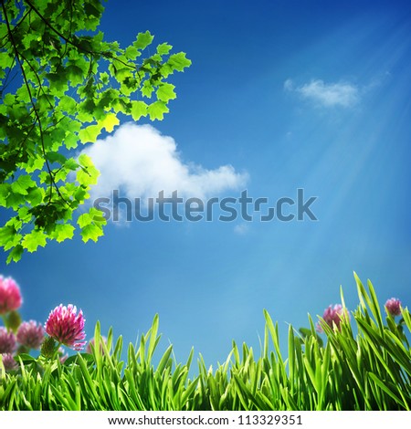 Abstract natural backgrounds for your design