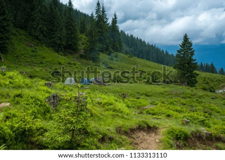 nature in good weather in the mountains