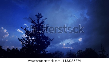 Tree in shadow and blue sky with clouds