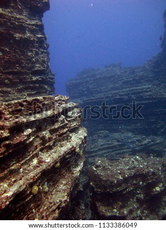 Corals grow on steep underwater walls off Niihau.
