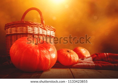 Table background of orange color and autumn time. Free space for your decoration. 