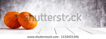 Autumn photo of vegetables and free space for your decoration. 