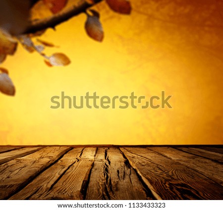 Table background of free space for your decoration and autumn time. 