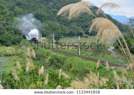 Hualian, Taiwan-January 31, 2015: Steam trains in Taiwan, Hualian Cliff cliffs near the coastline, is a beautiful picture.