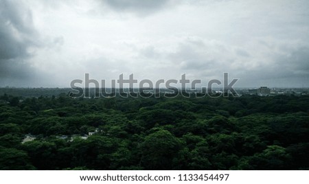 wide panoramic landscape view of greenery and cloudy sky in monsoon / rainy season in India