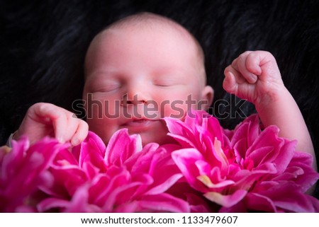 Newborn pictures of female baby