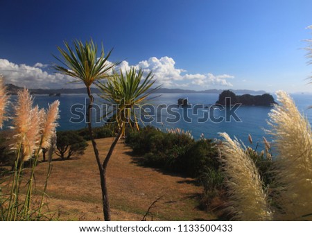 Impressive view at Cathedral cove New Zealand