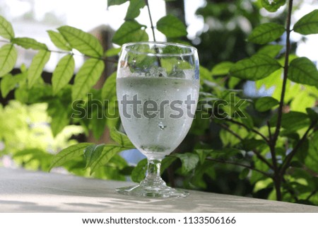 Glass of cold water with green trees in the background.