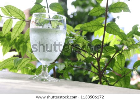 Glass of cold water with green trees in the background.