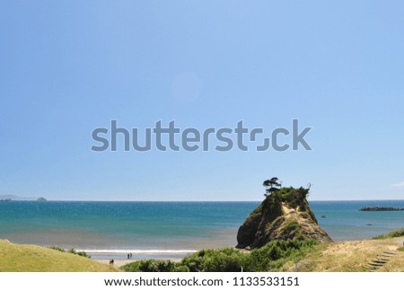Picture of Coast