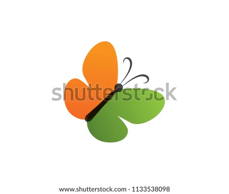 Butterfly conceptual simple, colorful icon. Logo. Vector illustration
