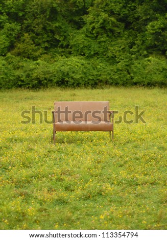 Sofa Chair in the middle of a field of flowers focus is on Sofa