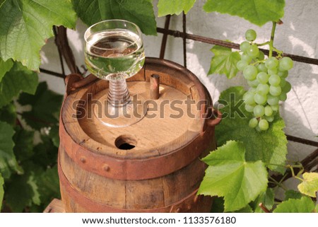 white vine and grapes
