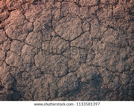 Texture of cracked earth in the evening sun