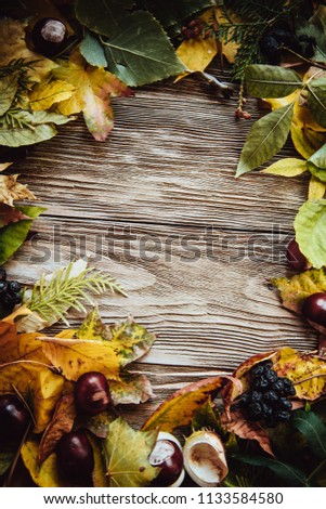 Autumn wooden background with green and yellow leaves flatlay