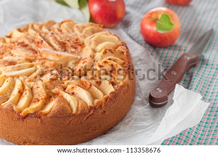 Sweet homemade apple cake with cinnamon Royalty-Free Stock Photo #113358676