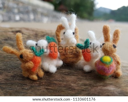 The little bunnies on the beach