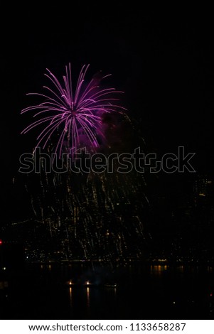 Colorful Purple Chrysanthemum Shaped Fireworks Against Dark Sky and City Skyline  