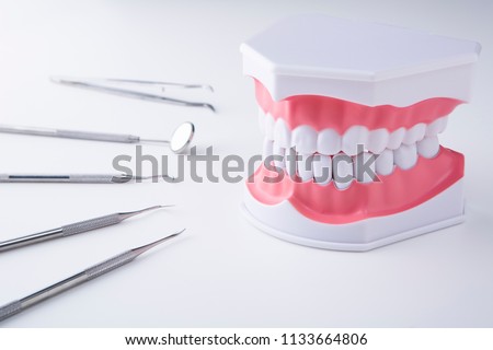 Dental instruments and dental model on white background