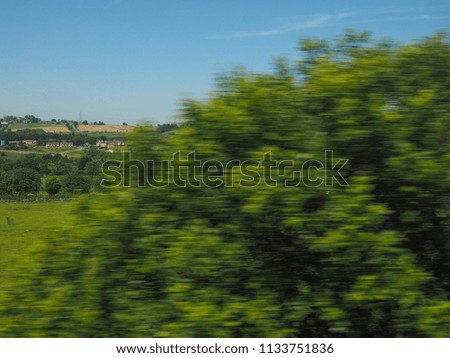 blurred defocused leaves seen from moving train, with motion blur caused by high speed