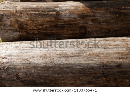 tree stump texture background.  wood rings texture background. cracked wooden cut