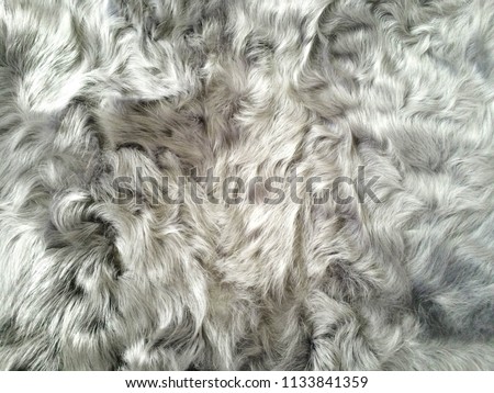 animal wool gray with long pile background


