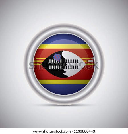 Swaziland flag button style. Vector image