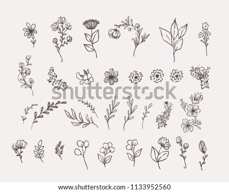 Big set of floral design elements Royalty-Free Stock Photo #1133952560