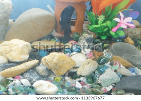 Aquarium background with multi-colored rock holes.