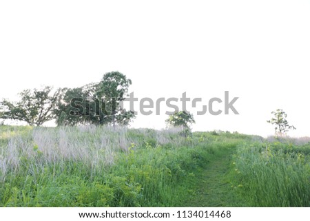 Nature landscape pictures